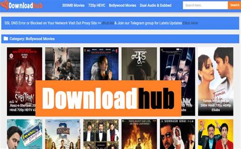 downloadhub 300