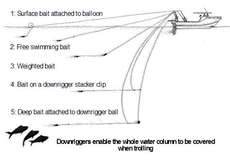 Downrigger Clip Setup