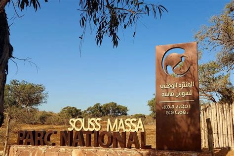 downsides Souss Massa