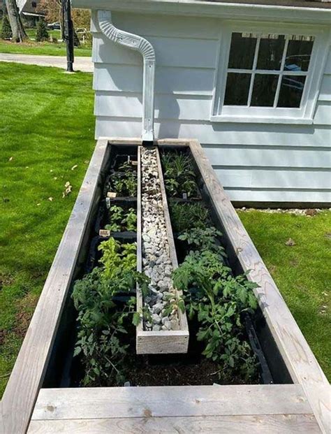 Downspout Container Garden