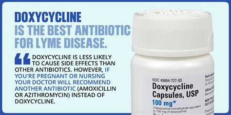 doxycycline or amoxicillin for lyme disease