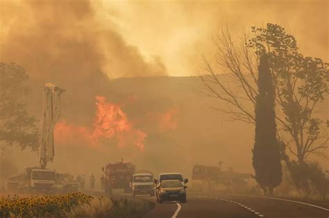 dozens dead chilean wildfires