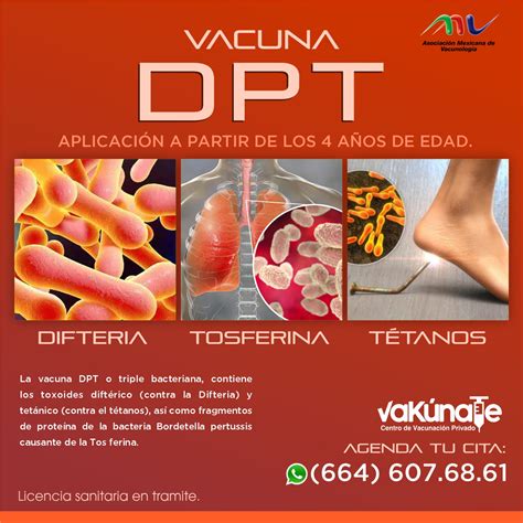 DPT Pay Scale Information