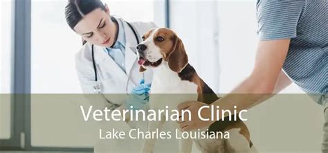 dr ford veterinarian lake charles la