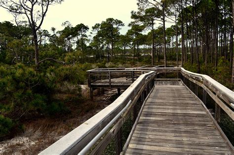 dr julian g bruce st george island state park