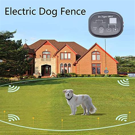 dr tiger electric dog fence installation