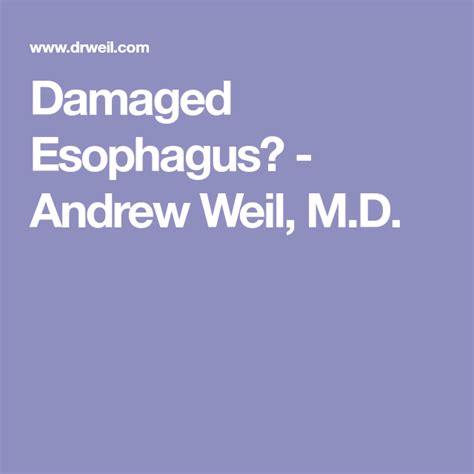 dr weil acid reflux