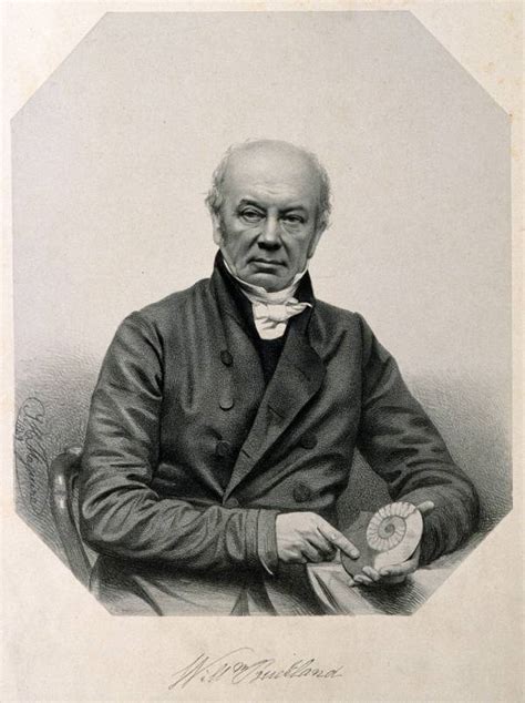 Dr William Buckland