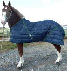Draft Horse Stable Blanket