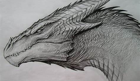25 Easy Dragon Head Drawing Ideas – How To Draw