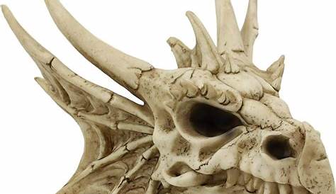 Ebros Elder Jurassic Dragon Head Skull Realistic Fossil Statue 9" Long