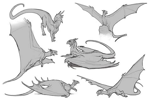 dragon drawing poses
