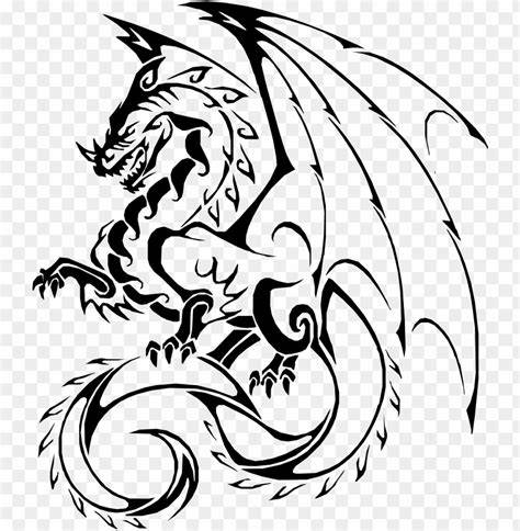 dragon drawing transparent