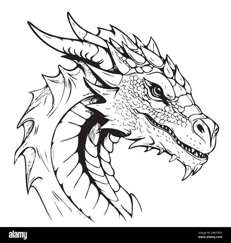 Dragon Head Line Art