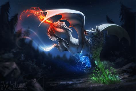 Dragon Wolf Wallpaper