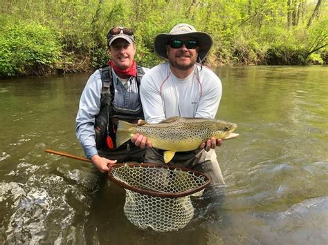 Dragonfly Fly Fishing Ga