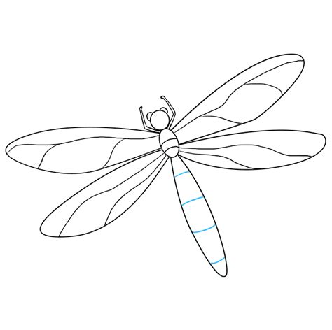 dragonfly head drawing