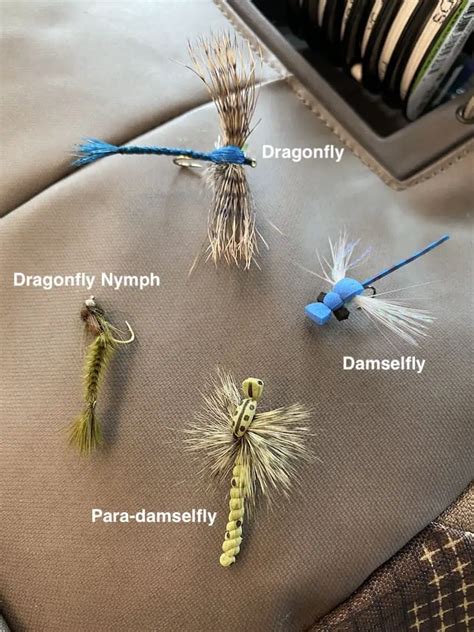 Dragonfly Nymph Patterns Fly Fishing