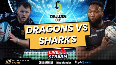 dragons v sharks live