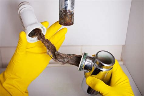 drain cleaning and maintenance