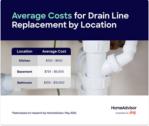 Drain Line Replacement Cost