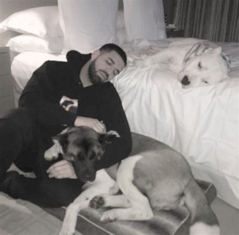 drake for all the dogs puppies