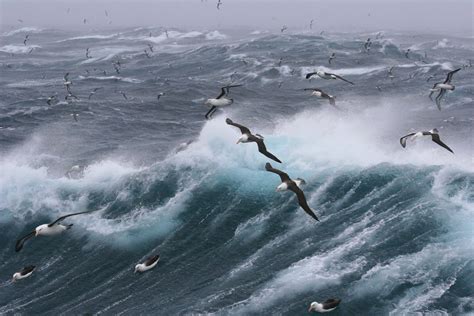 drake passage in the news