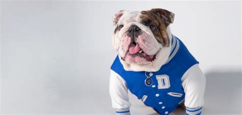 drake university live stream