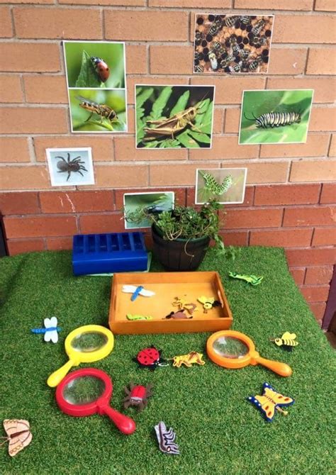 Dramatic Play Ideas For Bugs And Insects