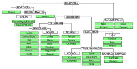 Dravidian Language and Culture