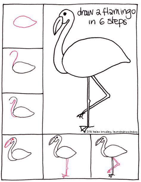 How To Draw A Flamingo Easy Step By Step Drawing Tutorial