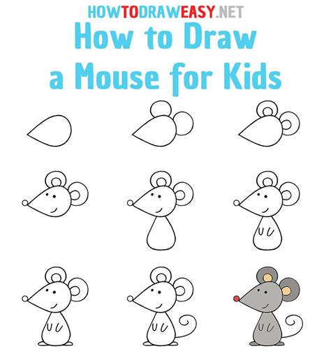 How To Draw Mouse Step By Step Cartoon Illustration With
