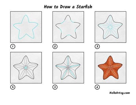 Drawing Cute Starfish How to Draw Step by Step Beginners