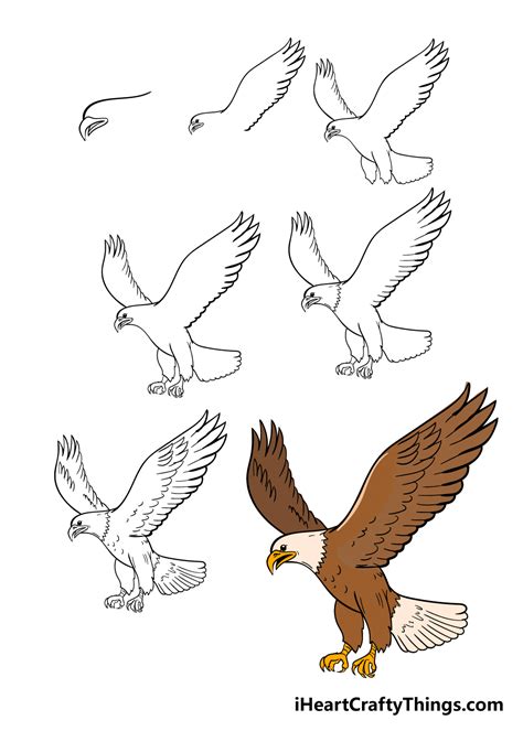 How to Draw an Eagle for Kids printable step by step