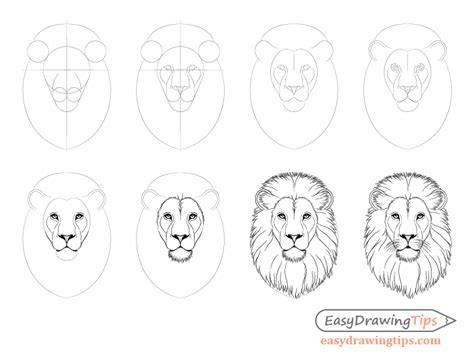 Lion face drawing Lion face drawing, Lion drawing simple