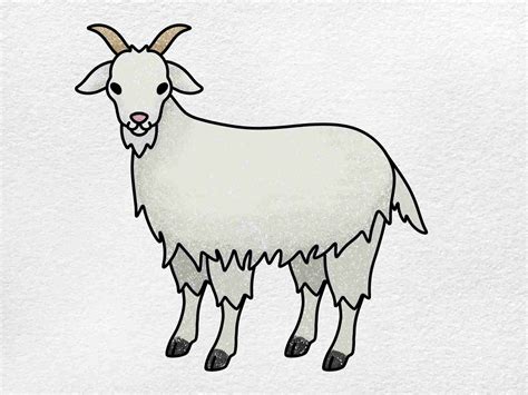 How To Draw A Goat Easy Tutorial Toons Mag