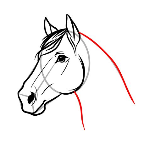 Wadidaw Draw A Horses Head References