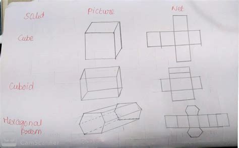 Best Draw A Rough Sketch Of The Net Of A Cuboid With Pencil