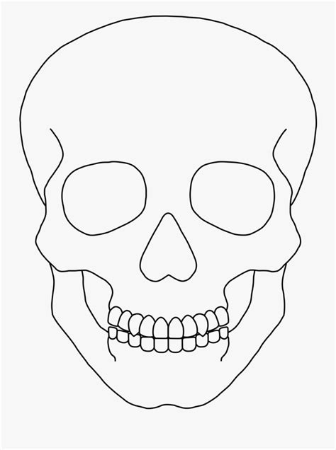 How To Draw A Human Skeleton Head