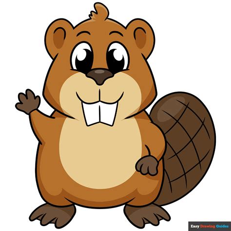Draw Beaver Clipart
