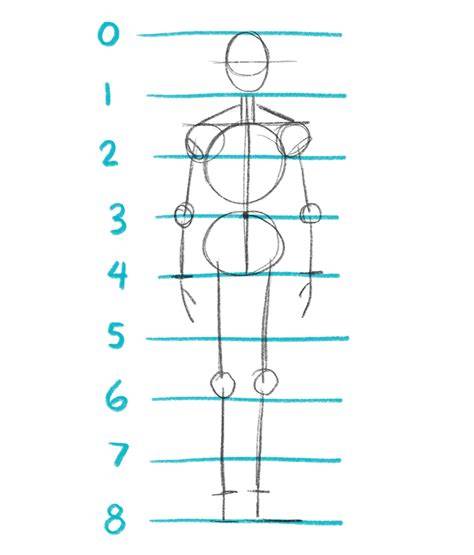 Proportions Drawing body proportions, Proportion art, Human anatomy drawing