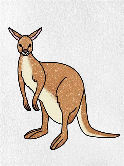 Draw Cartoon Kangaroo