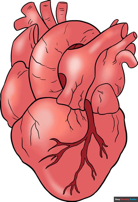 Draw Heart With Html