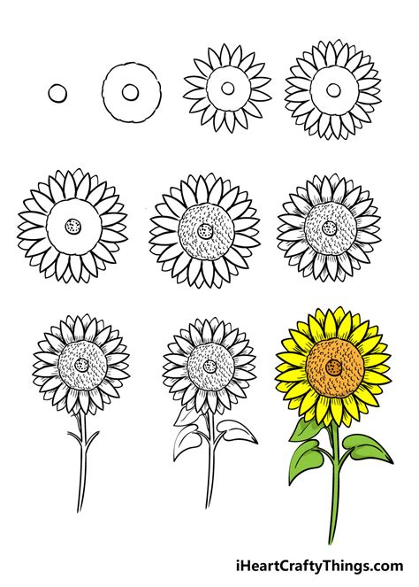 Draw Sunflowers Easy