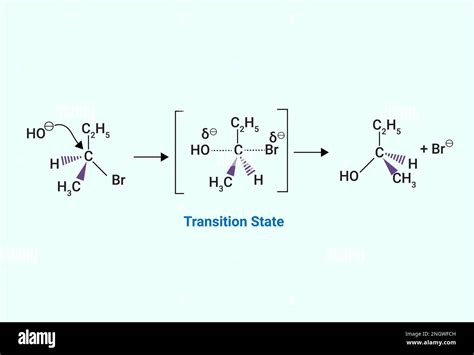 draw the structure of the transition state