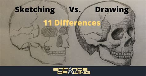 Best Free Draw Vs Sketch For Beginner