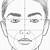 drawing face proportions step by step