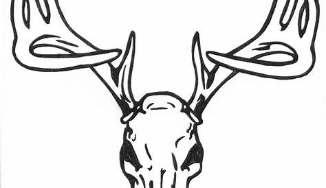 Free Drawings Of Deer Skulls, Download Free Drawings Of Deer Skulls png