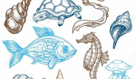 Sea Creatures Line Drawing