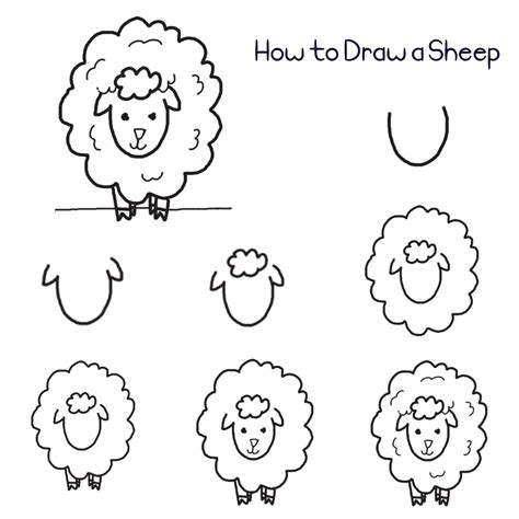 Step by step drawing Sheep stock vector. Illustration of